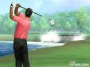 PGA Tiger Woods 07 (2)
