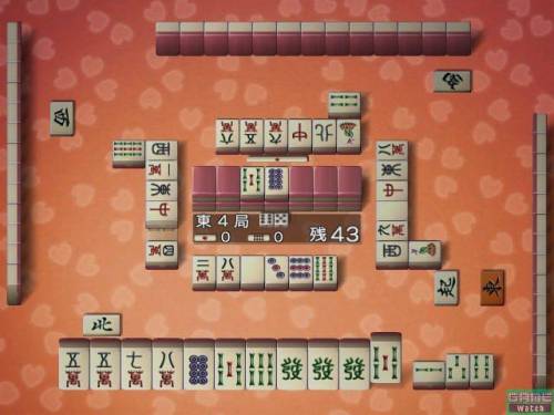 Фотография Mahjong Taikai Wii (2)