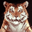 Аватар tigran-tamazyan
